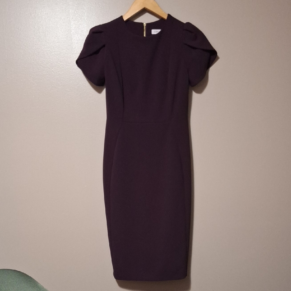 Calvin Klein Purple Dress